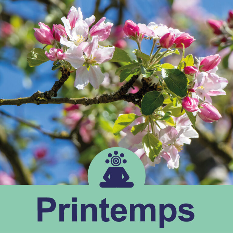 Printemps (20 min)