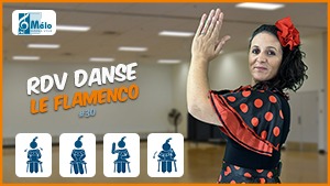 Flamenco (46 min)