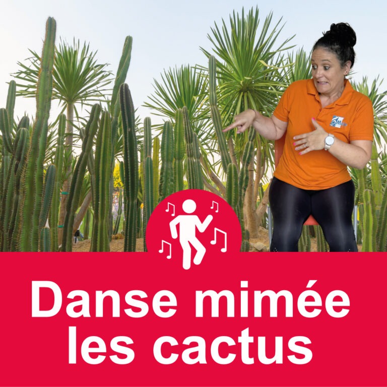 facil'danse - danse mimee cactus